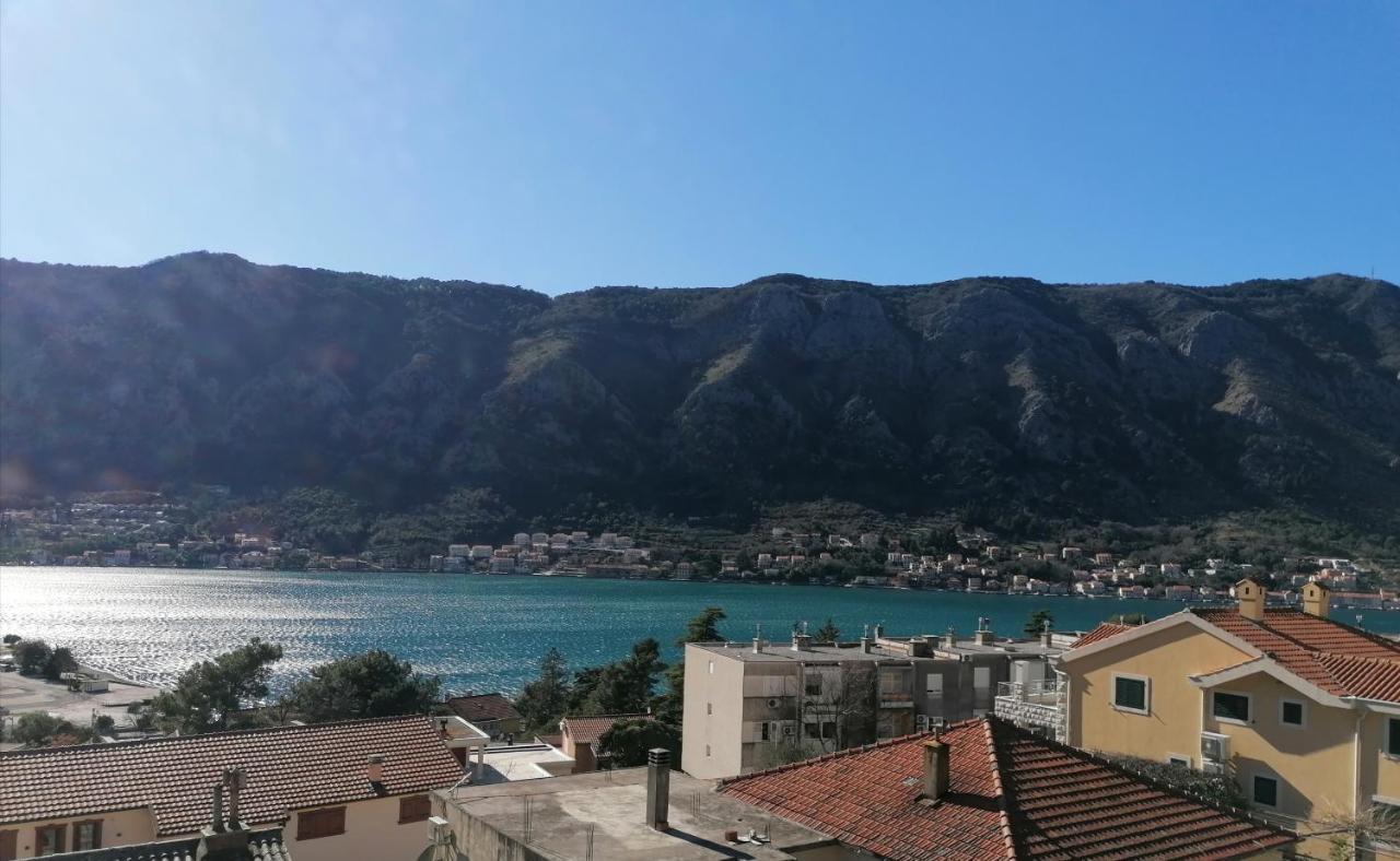 Albatros Apartamento Kotor Exterior foto